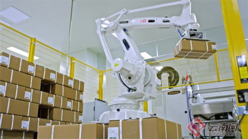 云南生物醫藥產業崛起 從血液制品到疫苗，本土生物技術“強身健體”新篇章